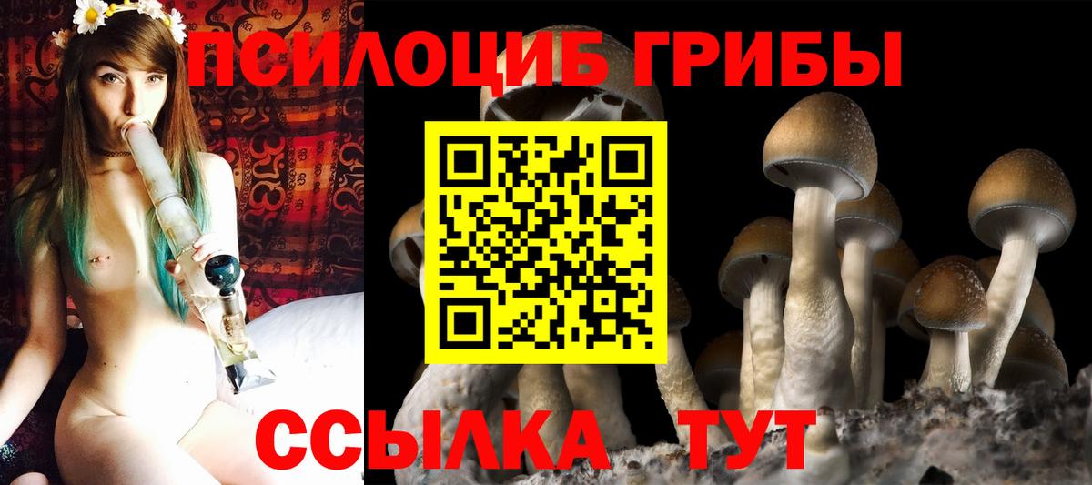 цена наркотик  Вход с VPN  Аша  Псилоцибиновые грибы MAGIC MUSHROOMS  Галлюциногенные грибы GOLDEN TEACHER 